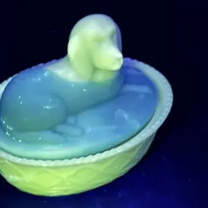 Glowing dog-shaped jelly dessert